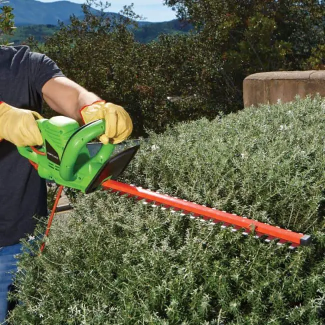 Best Garden Tools