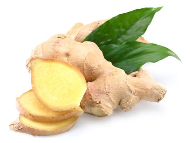 Ginger Plant Care