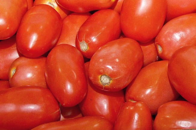 Grow Roma tomatoes