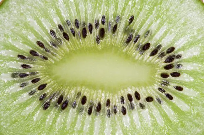 How to grow kiwi fruit