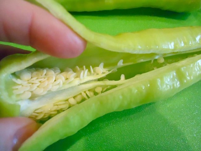 banana pepper propagation