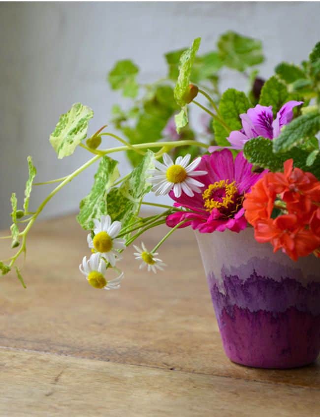 Diy Flower Pots