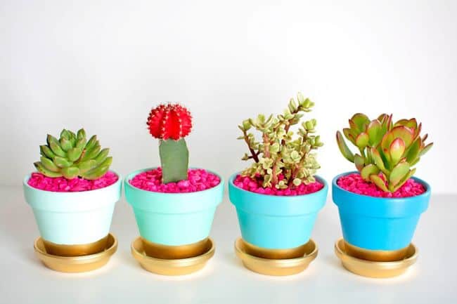 How to make Flower Pots at Home