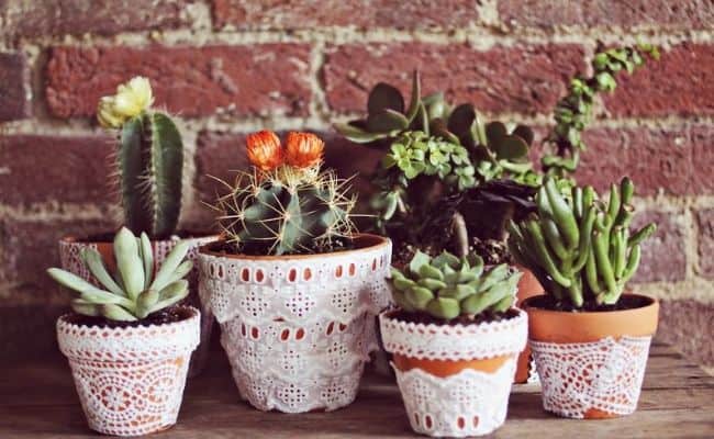 How to make Flower Pots at Home