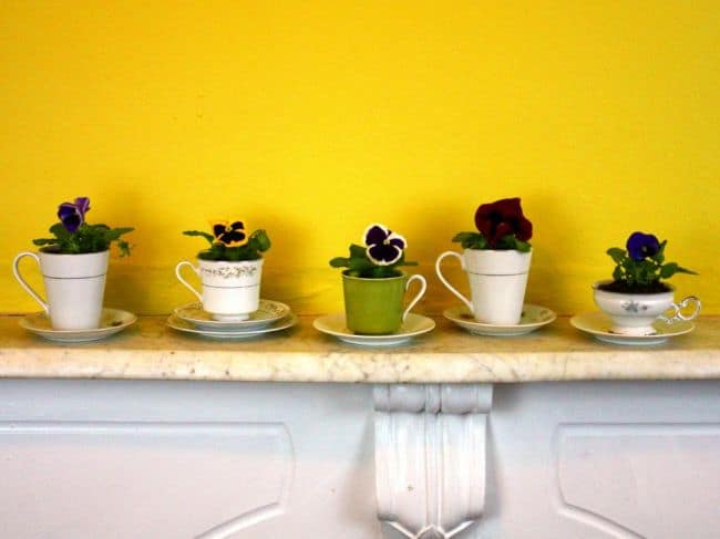 Diy Flower Pots