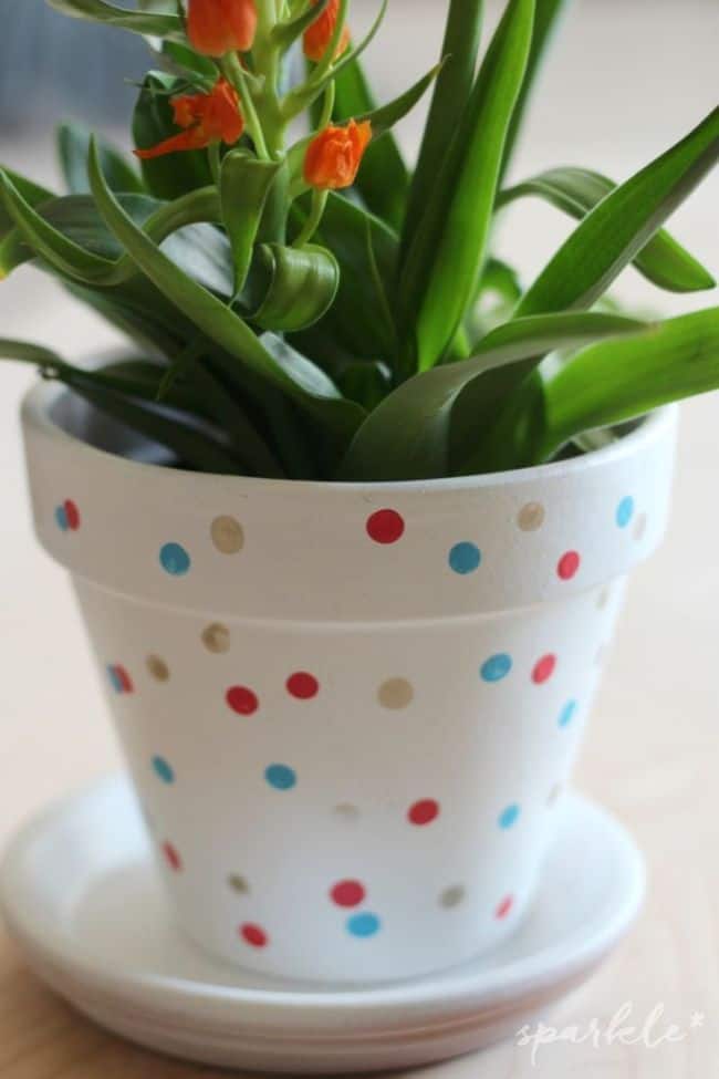 How to make Flower Pots at Home