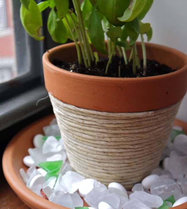 Diy Flower Pots