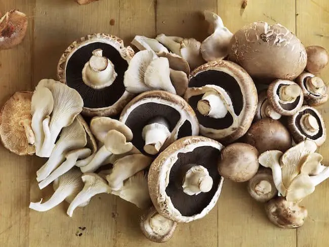 How To Grow Mushrooms