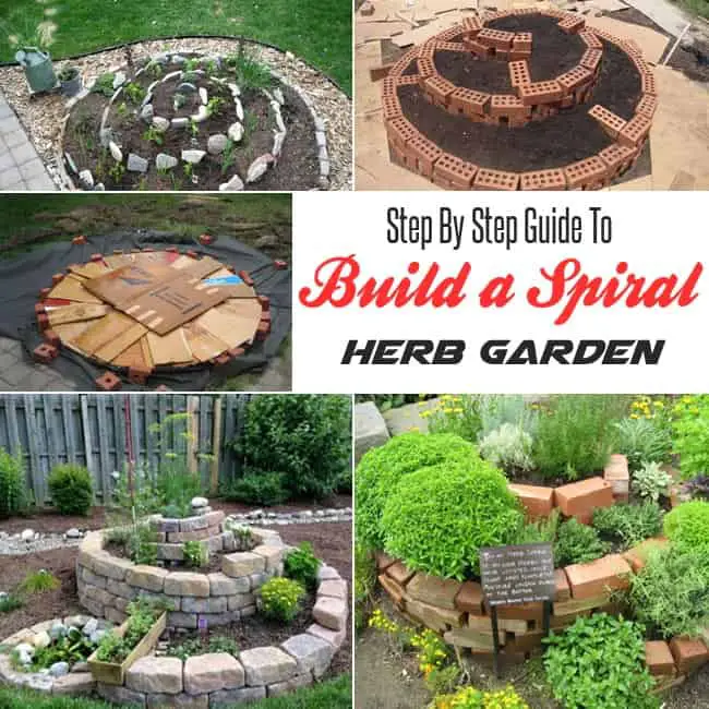 How to Build a Spiral Herb Garden