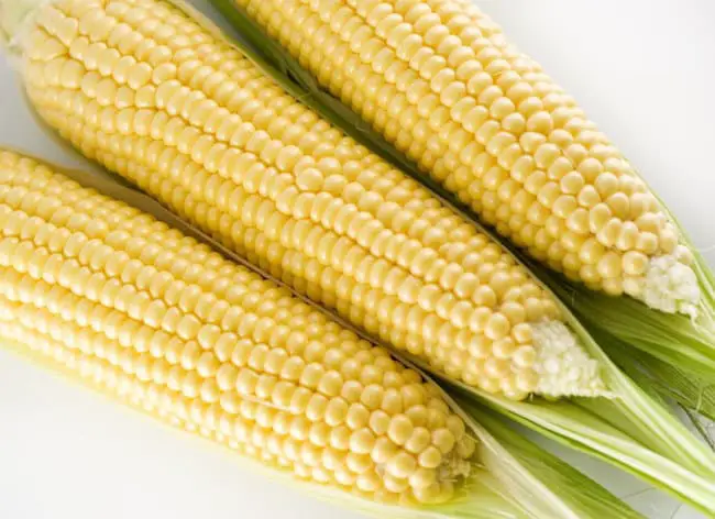 how to grow corn