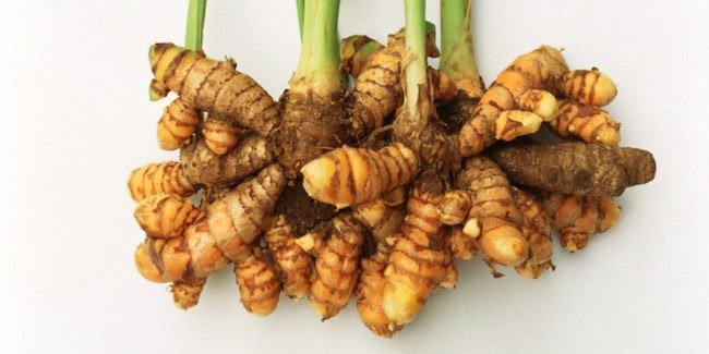 How to grow turmeric