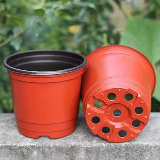 Indoor Plant Watering Devices