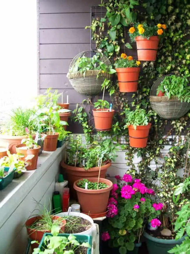 Garden Design for Small Gardens