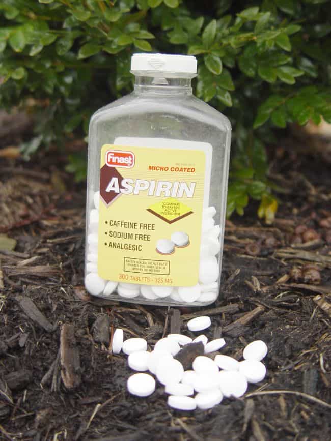 How to Use Aspirin for Plants