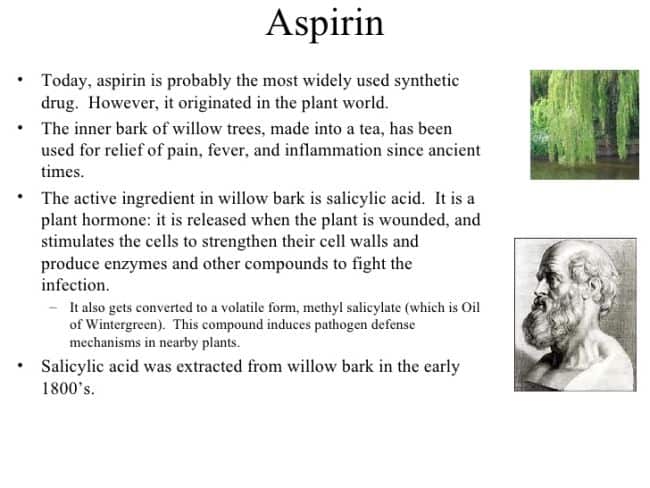 The Truth about Aspirin for Plants