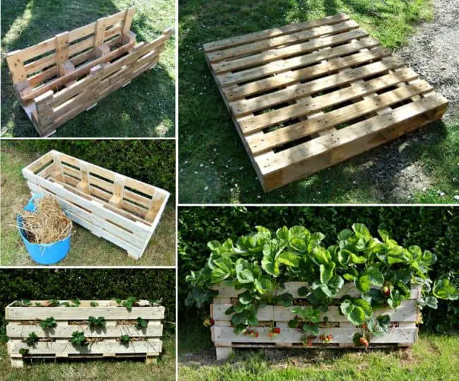 DIY Planter Boxes