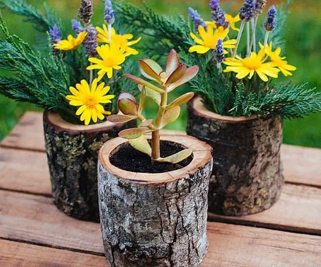 Wooden Planter Boxes