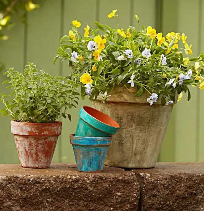 Pots Garden Ideas