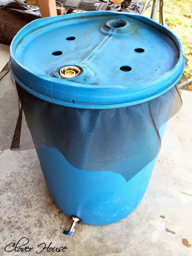 Bucket Gardening