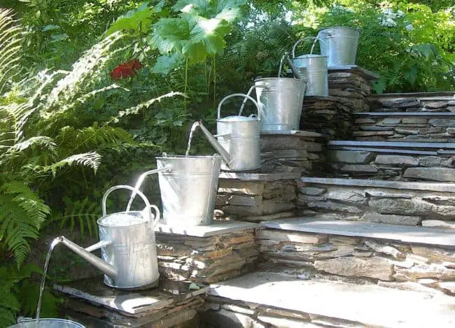 Bucket Gardening