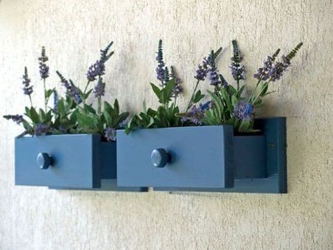 Wooden Planter Boxes