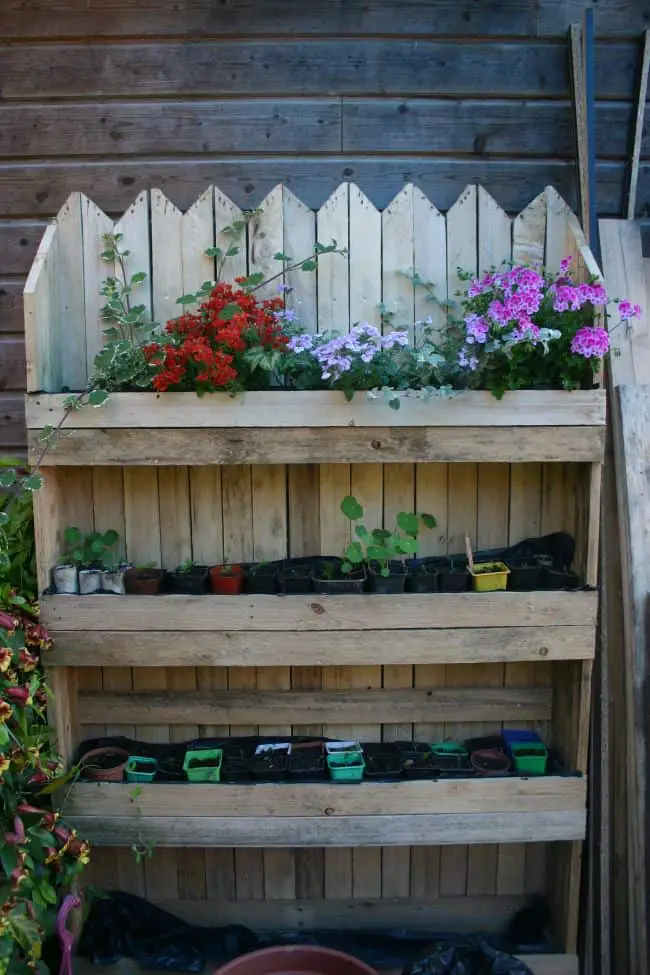 Wooden Planter Boxes