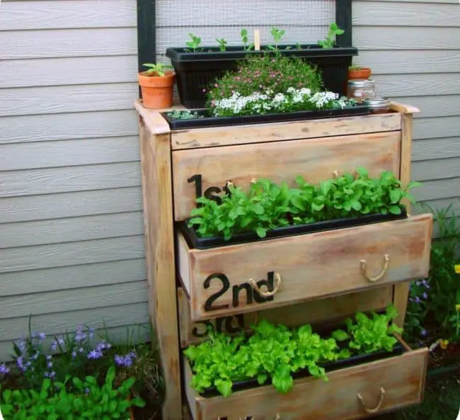 Wooden Planter Boxes