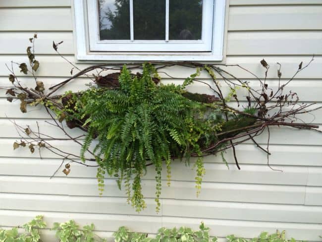 DIY Planter Boxes