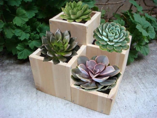 Wooden Planter Boxes