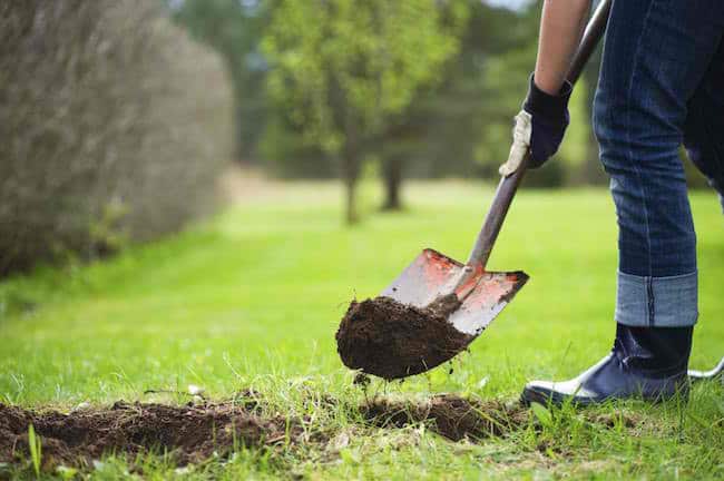 Natural weed killers