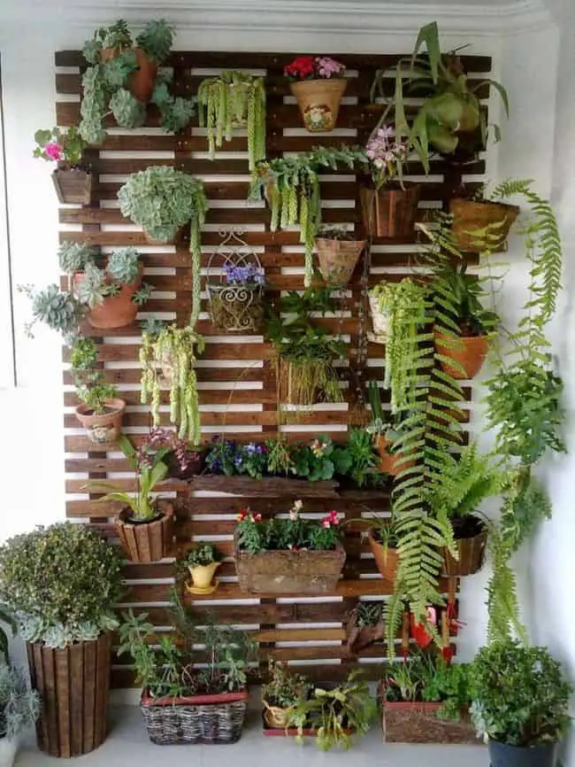 Wall Planters Outdoor