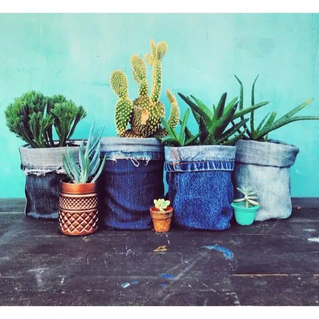 Blue Jean Flower Pots