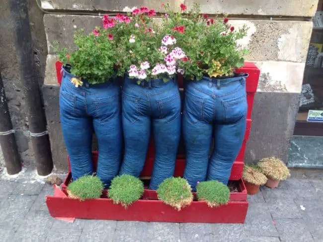 Blue Jean Flower Pots