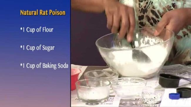  Baking Soda for Plants