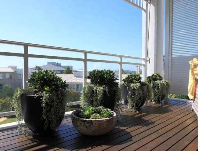 Balcony Garden Ideas