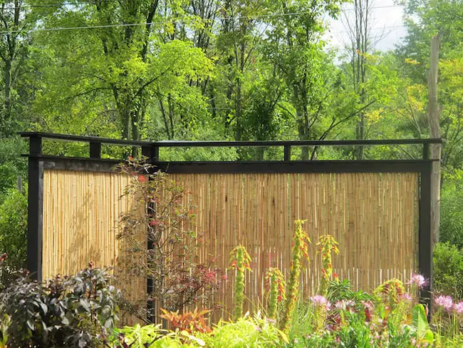 garden privacy ideas