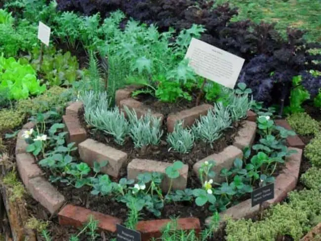  How to Build a Brick Garden Bed