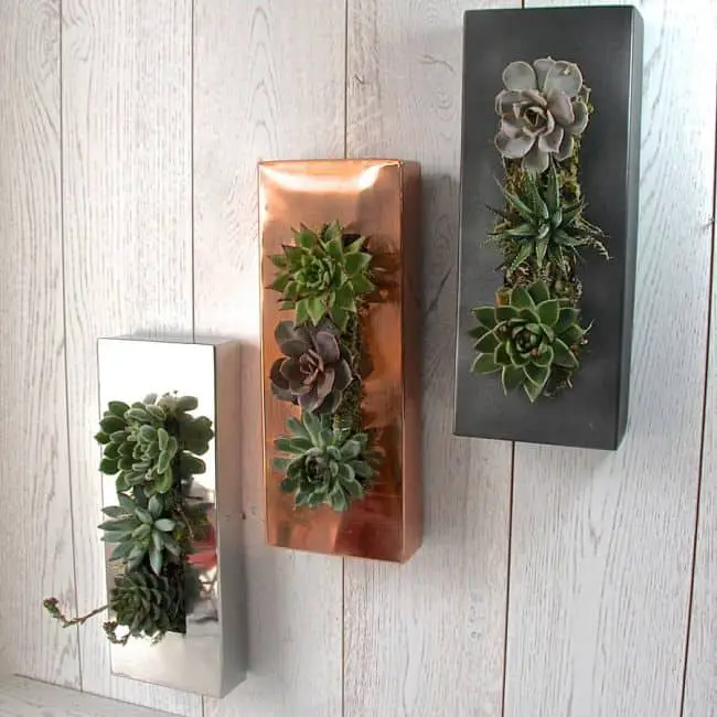 DIY Wall Planters