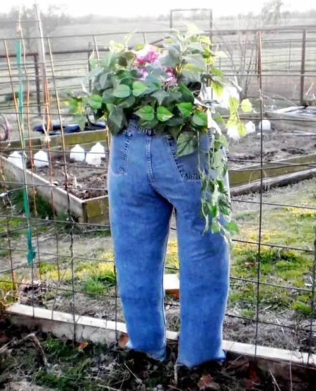 Denim Planter