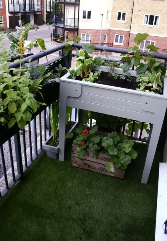 Balcony Garden Ideas