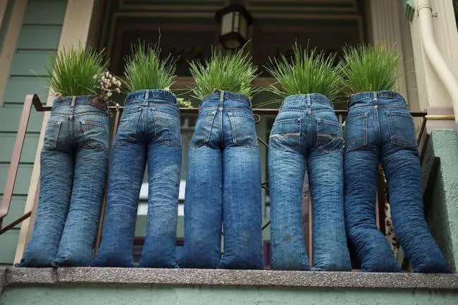 Blue Jean Planters