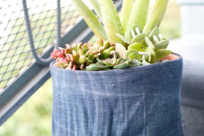 Recycled Jeans Planters
