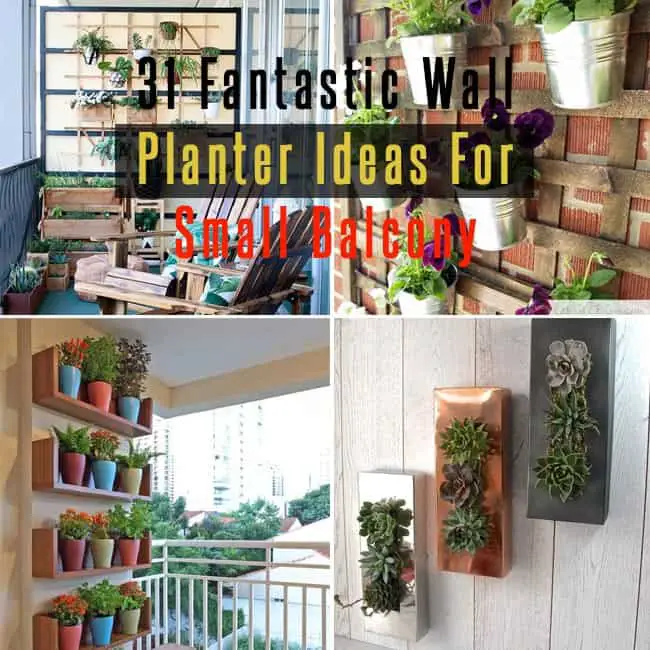 Wall Planter Ideas