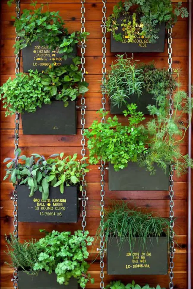 Small Apartment Balcony Garden Ideas