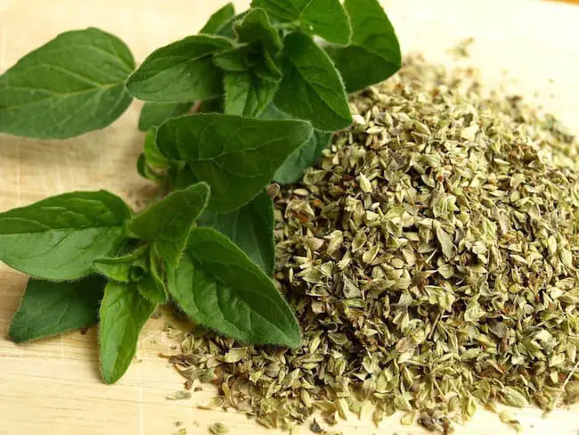 How To Grow Oregano