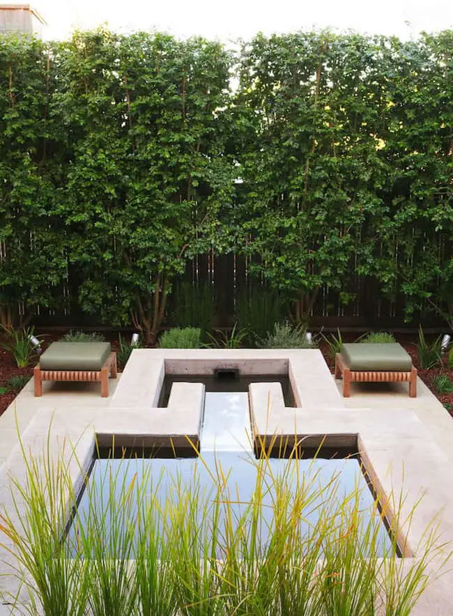 garden privacy ideas