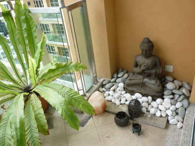 Balcony Garden Plants