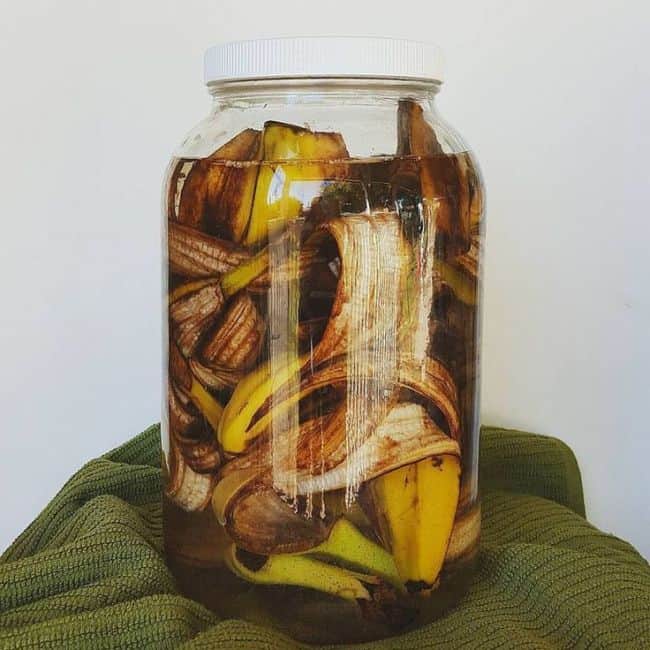 Banana Peels Fertilizer