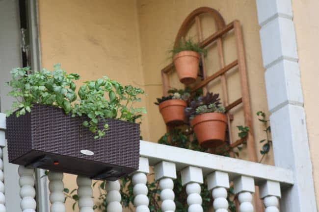 Wall Planters Outdoor