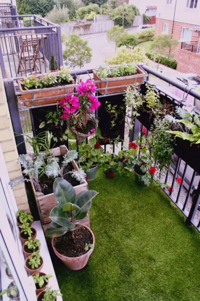 Small Apartment Balcony Garden Ideas